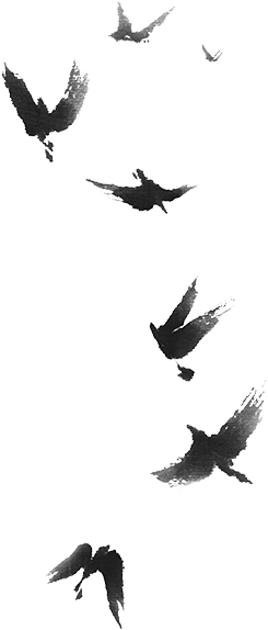 bioseitai